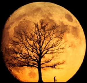 naranja-luna-anaranjada-orange-moon1